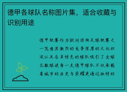 德甲各球队名称图片集，适合收藏与识别用途